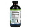 Amazing Herbs, Premium Black Seed, 100% чистое масло семян черного тмина холодного отжима, 240 мл (8 жидк. Унций)