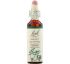 Bach, Original Flower Remedies, Walnut, 0.7 fl oz (20 ml) Bach, Original Flower Remedies, Walnut, 0.7 fl oz (20 ml)