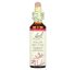 Bach, Original Flower Remedies, Willow, 0.7 fl oz (20 ml) Bach, Original Flower Remedies, Willow, 0.7 fl oz (20 ml)