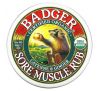 Badger Company, мазь от боли в мышцах, органический состав, с кайенским перцем и имбирем, 56 г (2 унции)