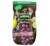 Beech-Nut, Fruit & Veggie Melties, Stage 3, Banana, Blueberry & Green Beans, 1 oz (28 g)