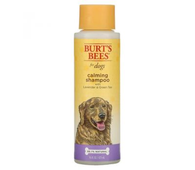 Burt's Bees, Calming Shampoo for Dogs with Lavender & Green Tea, 16 fl oz (473 ml)