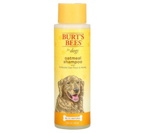 Burt's Bees, Oatmeal Shampoo for Dogs, Colloidal Oat Flour & Honey, 16 fl oz (473 ml)