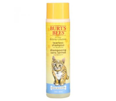 Burt's Bees, Шампунь без сліз для кошенят з маслюком, 10 жидких унцій (296 мл)