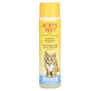 Burt's Bees, Шампунь без сліз для кошенят з маслюком, 10 жидких унцій (296 мл)