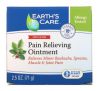 Earth's Care, Pain Relieving Ointment, Triple Action, 2.5 oz (71 g)