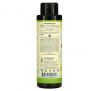 Eco Love, Family Conditioner, Cucumber, Parsley & Spinach, 17.6 fl oz (500 ml)