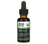 Gaia Herbs, Olive Leaf, 1 fl oz (30 ml)