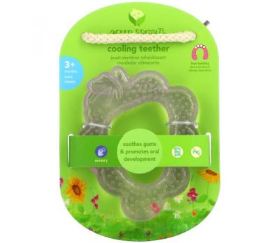 Green Sprouts, Cooling Teether, 3+ Months, Purple Grape, 1 Teether