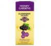 Honey Gardens, Elderberry Honey, Immune, 5 Packets, 0.26 oz ( 7.4 g) Each