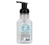 J R Watkins, Foaming Hand Soap, Ocean Breeze, 9 fl oz (266 ml)