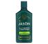 Jason Natural, Men's, 2-In-1 Shampoo + Conditioner, For Dandruff Relief, Hemp Seed Oil + Aloe , 12 fl oz (355 ml)