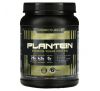 Kaged Muscle, Plantein, Premium Vegan Protein, Cinnamon Roll, 1.2 lb (537 g)