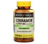 Mason Natural, Cinnamon, 500  mg, 100 Capsules