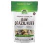 NOW Foods, Real Food, органічні бразильські горіхи, несолоні, 284 г (10 унцій)