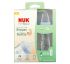 NUK, Simply Natural, Bottle, +1 Months, Medium, 2 Bottles, 9 oz (270 ml) Each