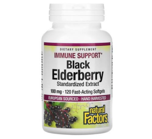 Natural Factors, Black Elderberry, 100 mg, 120 Capsules