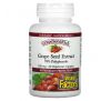 Natural Factors, GrapeSeedRich, Grape Seed Extract, 100 mg, 60 Vegetarian Capsules