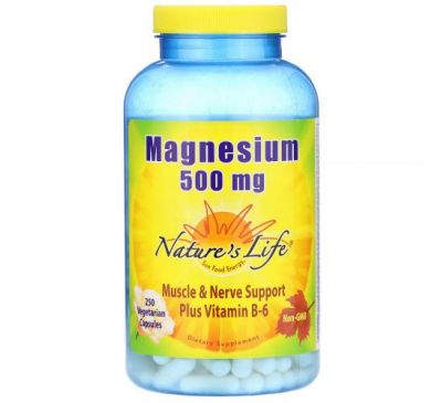 Nature's Life, Magnesium, 500 mg, 250 Vegetarian Capsules