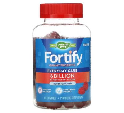 Nature's Way, Fortify Gummy Probiotic, Sugar-Free, Berry, 6 Billion, 60 Gummies