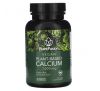PlantFusion, Vegan Planet-Based Calcium, 333 mg, 90 Tablets