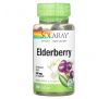 Solaray, Elderberry, 450 mg, 100 VegCaps