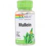 Solaray, Mullein, 330 mg, 100 VegCaps