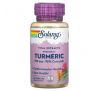 Solaray, Once Daily, Turmeric, 570 mg, 60 VegCaps