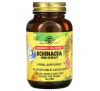 Solgar, Echinacea Herb Extract, 60 Vegetable Capsules