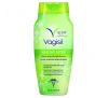 Vagisil, Healthy Detox, All Over Wash, 12 fl oz (354 ml)